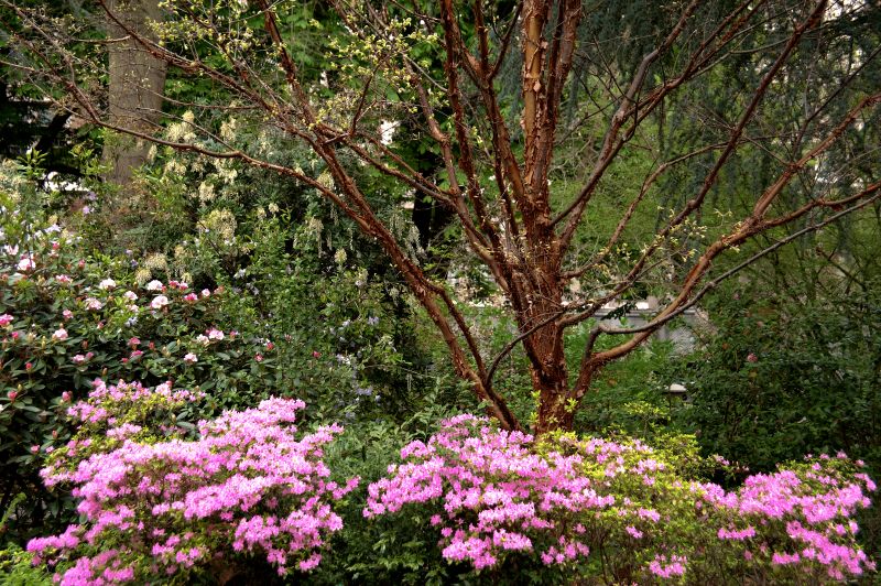 DS2657: TeleBehavioral Health 2026 Banner